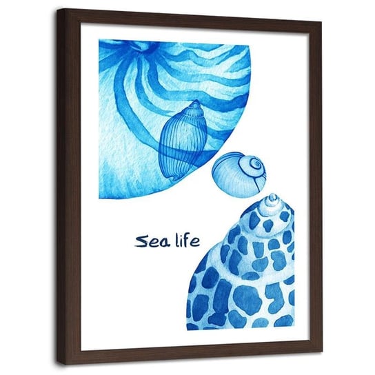 Plakat na ścianę w ramie brązowej FEEBY Sea life życie morskie muszle, 60x80 cm Feeby