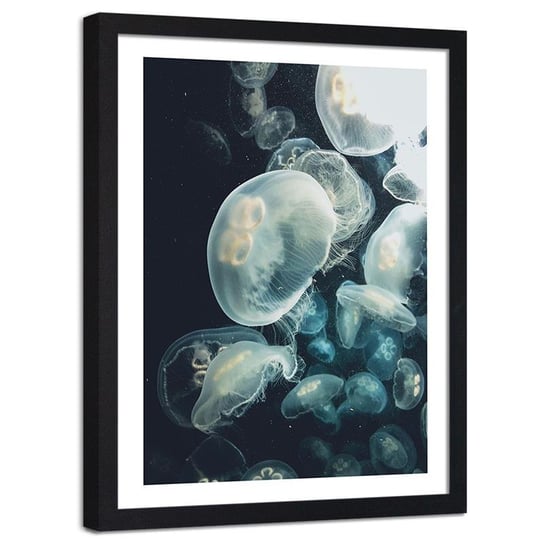 Plakat na ścianę w ramie czarnej FEEBY Zwierzęta wodne meduzy, 40x50 cm Feeby