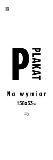 Plakat Na Wymiar 158X53 Cm Door Nice Wall