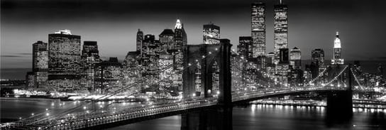 plakat NEW YORK - MANHATTAN BLACK - BERENHOLTZ GB eye