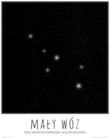 Plakat NICE WALL Mały Wóz konstelacja gwiazd z opisem, 40x50 cm Nice Wall