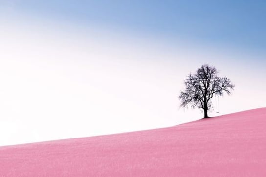 Plakat NICE WALL Pink Meadow, 61x91,5 cm Nice Wall