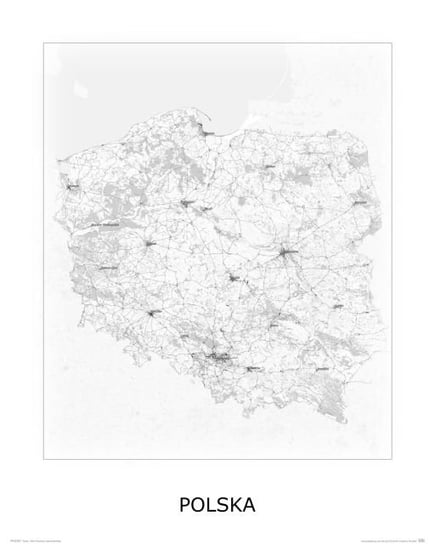 Plakat NICE WALL Polska, czaro-biała, mapa 40x50 cm Nice Wall
