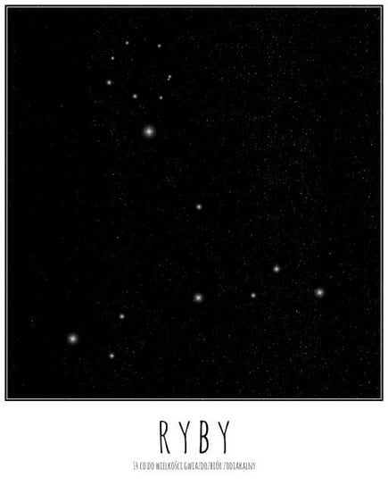 Plakat NICE WALL Ryby konstelacja gwiazd z opisem, 40x50 cm Nice Wall