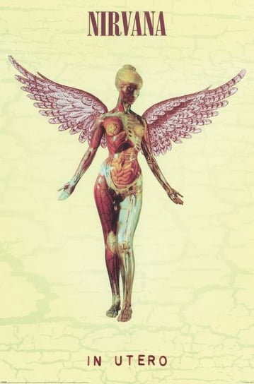 Plakat Nirvana In Utero plakaty na ścianę muzyczne 61x91,5 cm Nirvana