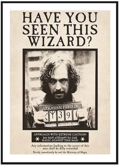 Plakat Obraz - Harry Potter Sirius Black - 21x30 cm posterstory.pl