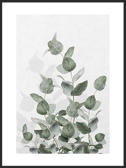 Plakat Obraz Listki Eukaliptusa 21x30 cm (A4) posterstory.pl