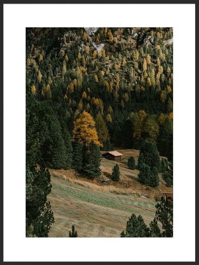 Plakat Obraz Samotna Chata w Lesie 21x30 cm (A4) posterstory.pl