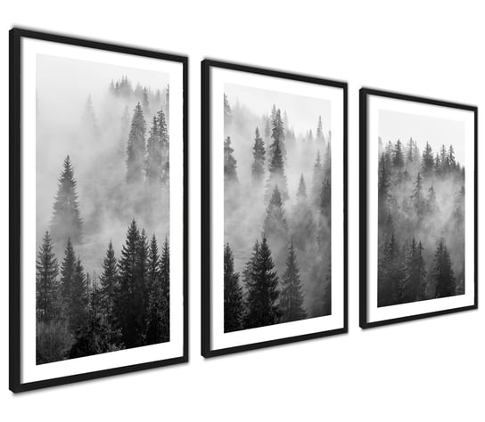 Plakat Obrazki Las Mgła Pejzaż Krajobraz 40x50cm 3szt ag.art deco