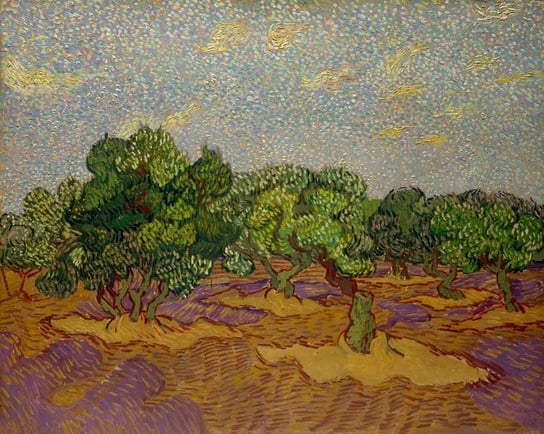Plakat, Olive Trees, Vincent van Gogh, 100x70 cm reinders