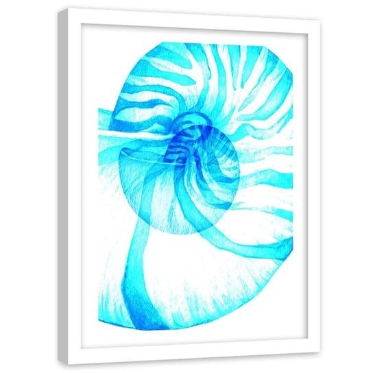 Plakat ozdobny w ramie białej FEEBY Przejrzysta muszla motyw morski, 20x30 cm Feeby