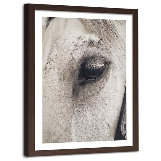 Plakat ozdobny w ramie brązowej FEEBY Koń zbliżenie na oko, 70x100 cm Feeby