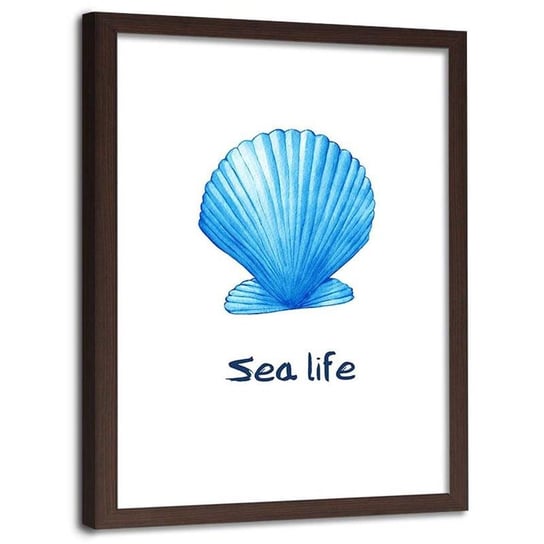 Plakat ozdobny w ramie brązowej FEEBY Napis Morskie życie i muszla, 50x70 cm Feeby