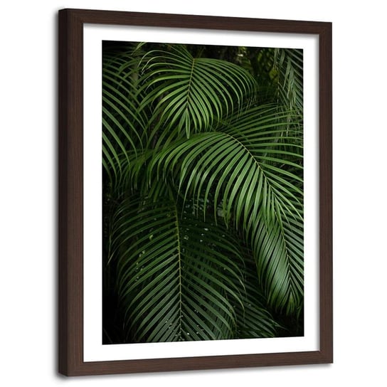Plakat ozdobny w ramie brązowej FEEBY Palmowe liście egzotyczne, 60x90 cm Feeby