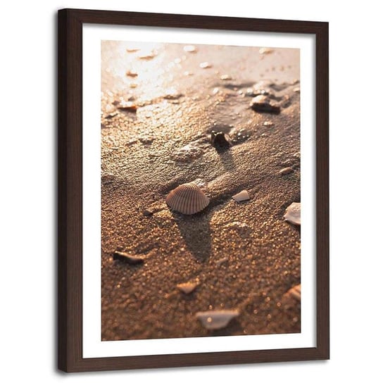 Plakat ozdobny w ramie brązowej FEEBY Piasek plaża kamienie i muszelki, 60x90 cm Feeby