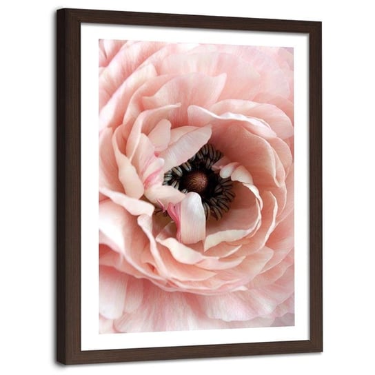 Plakat ozdobny w ramie brązowej FEEBY Zbliżenie na różowy kwiat, 80x120 cm Feeby