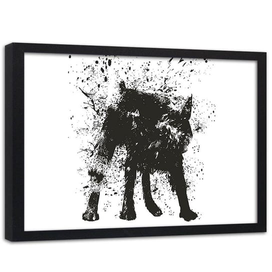 Plakat ozdobny w ramie czarnej BALAZS SOLTI Zwierzę chlapiący pies, 60x40 cm Feeby