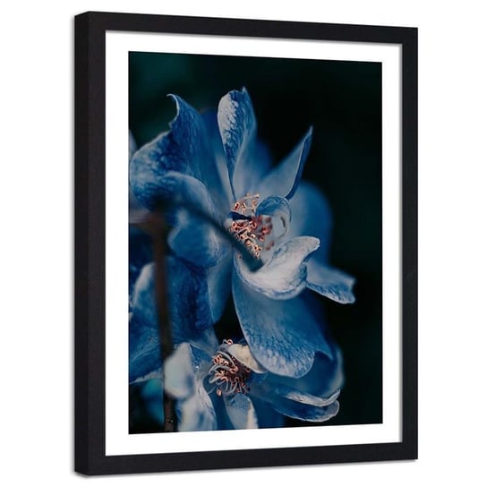 Plakat ozdobny w ramie czarnej FEEBY Kwiat natura roślina, 70x100 cm Feeby