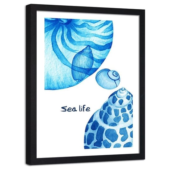 Plakat ozdobny w ramie czarnej FEEBY Muszelki i Sea life, 40x50 cm Feeby