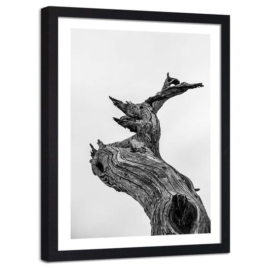 Plakat ozdobny w ramie czarnej FEEBY Suche drzewo konar, 40x50 cm Feeby