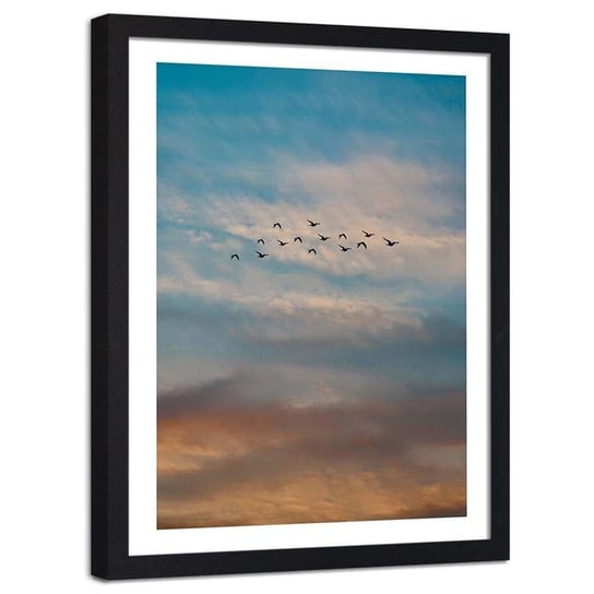 Plakat ozdobny w ramie czarnej FEEBY Zachód słońca lecące ptaki chmury niebo, 60x90 cm Feeby