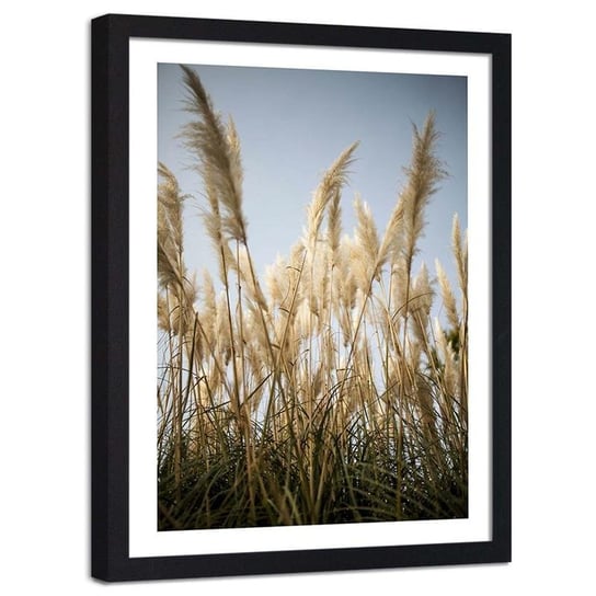 Plakat ozdobny w ramie czarnej FEEBY Źdźbła trawy natura, 30x40 cm Feeby