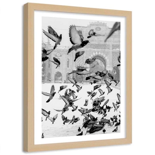 Plakat ozdobny w ramie naturalnej, Dzikie gołębie na śniegu - Plakat w ramie naturalnej - 60x80 Feeby