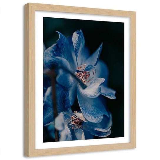 Plakat ozdobny w ramie naturalnej FEEBY Błękitny kwiat, 60x80 cm Feeby