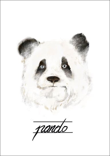 Plakat, Panda, 40x60 cm reinders