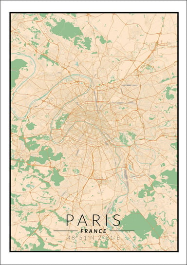 Plakat, Paris mapa kolorowa, 29,7x42 cm reinders