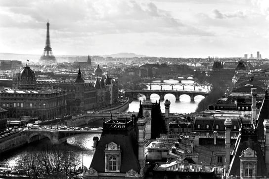 Plakat, Paryż Panorama - Sekwana i Wieża Eiffla, 91,5x61 cm Inna marka