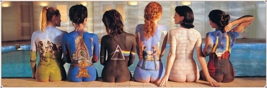 Plakat, Pink Floyd Okładki Płyt, 158x53 cm Inna marka