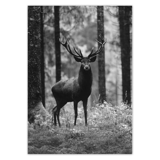 Plakat pionowy Jeleń w lesie B&W, 14,8x21  cm ZeSmakiem