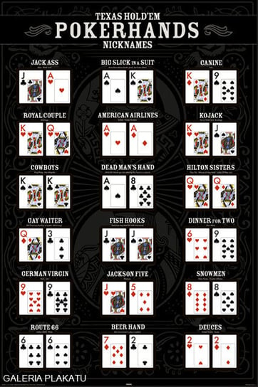 Plakat, Poker Texas Holdem Nicknames, 61x91,5 cm reinders
