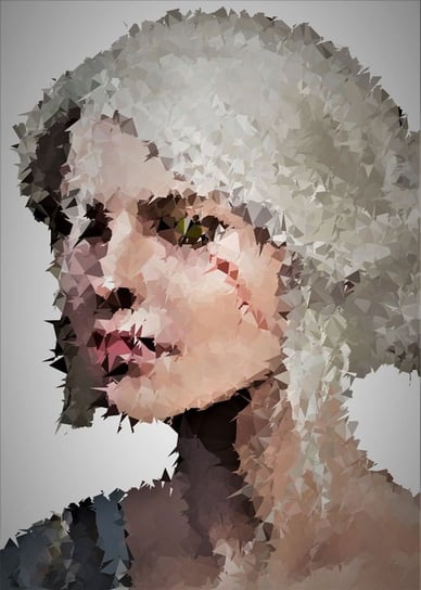 Plakat, POLYamory - Ciri, Wiedźmin, 50x70 cm reinders