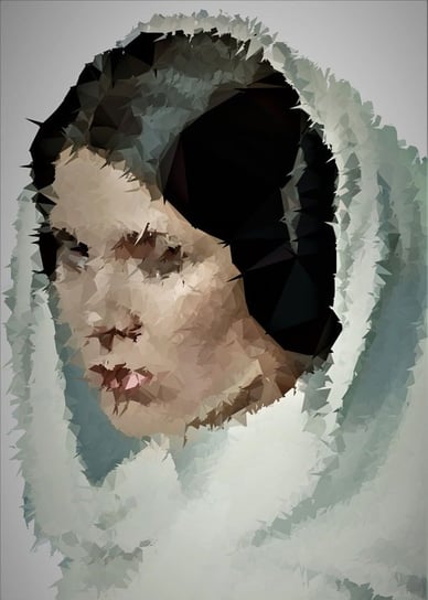 Plakat, POLYamory - Leia Organa, Gwiezdne Wojny Star Wars, 20x30 cm reinders