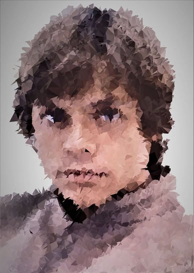 Plakat, POLYamory - Luke Skywalker, Gwiezdne Wojny Star Wars, 61x91,5 cm reinders