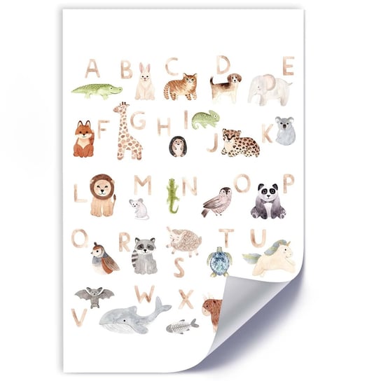 Plakat poster FEEBY, Alfabet Zwierzęta Kolorowy 40x60 Feeby