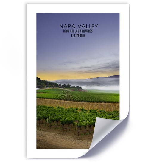 Plakat poster FEEBY, Napa Valley Krajobraz obraz 70x100 Feeby