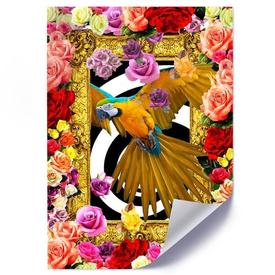 Plakat poster FEEBY, Papuga,kolorowe kwiaty róże 40x60 Feeby