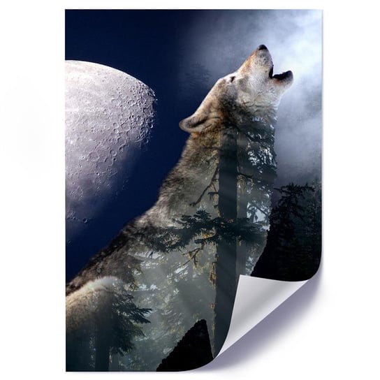 Plakat poster FEEBY, Wilk Noc Księżyc Natura 20x30 Feeby