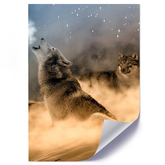 Plakat poster FEEBY, Wilki Mgła Zwierzęta Natura Przyroda 70x100 Feeby