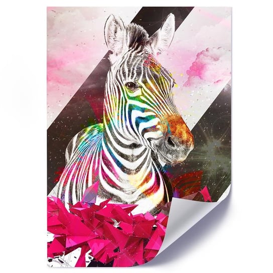 Plakat poster FEEBY, Zebra Abstrakcja Kolorowy 40x60 Feeby