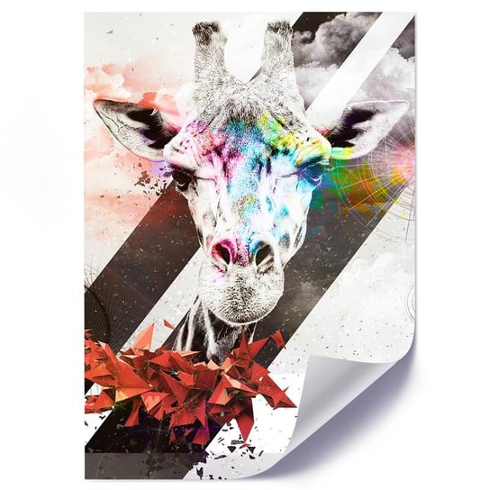 Plakat poster FEEBY, Żyrafa Abstrakcja Kolorowy 70x100 Feeby