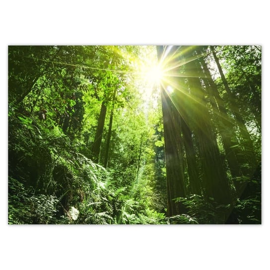 Plakat poziomy Magiczny las Krajobraz, 42x29,7  cm ZeSmakiem
