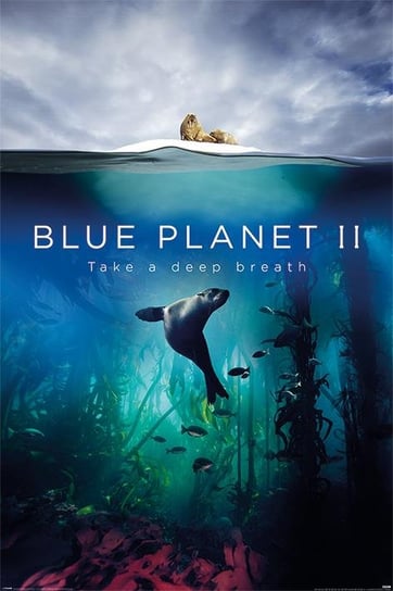 Plakat PYRAMID INTERNATIONA Blue Planet 2 Take A Deep Breath, 91x61 cm Pyramid International