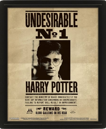 Plakat PYRAMID INTERNATIONA Harry Potter Potter Sirius Framed, 10x8" Pyramid International