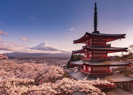 Plakat PYRAMID INTERNATIONA Mount Fuji Blossom, 100x140 cm Pyramid International
