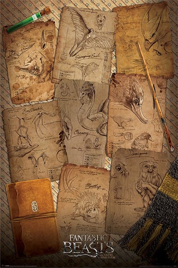 Plakat PYRAMID INTERNATIONAL, Fantastic Beasts Notebook Pages, 61x91 cm Pyramid International