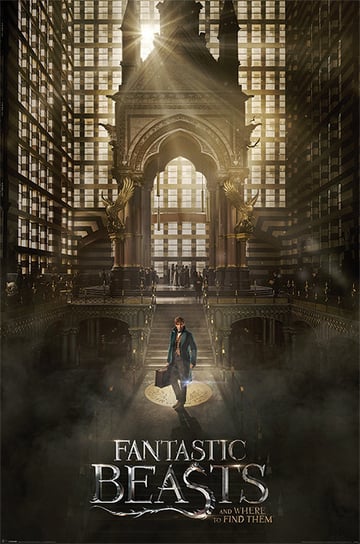 Plakat PYRAMID INTERNATIONAL, Fantastic Beasts - Teaser Maxi Poster, 61x91 cm Pyramid International